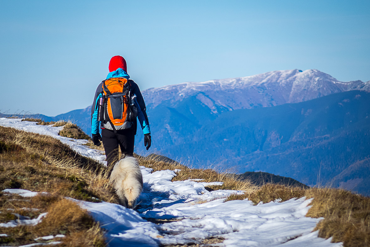 Ďumbier z Lúčok (Nízke Tatry)