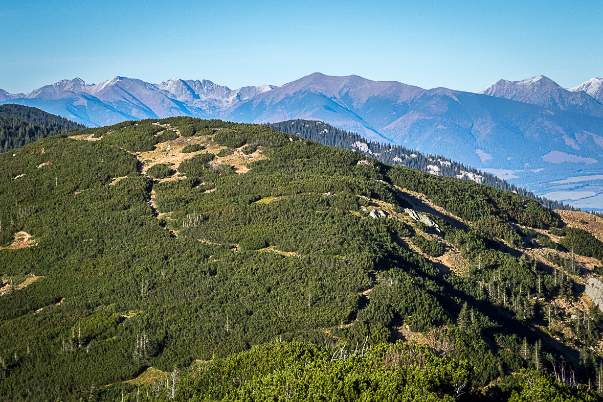 Ďumbier z Lúčok (Nízke Tatry)