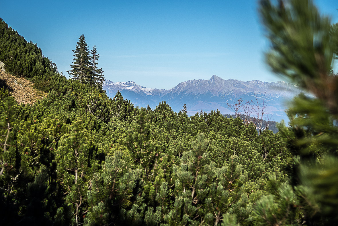 Ďumbier z Lúčok (Nízke Tatry)