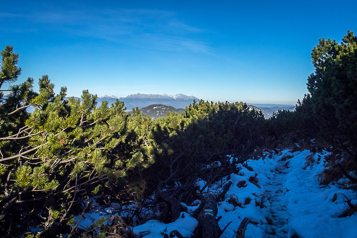 Ďumbier z Lúčok (Nízke Tatry)