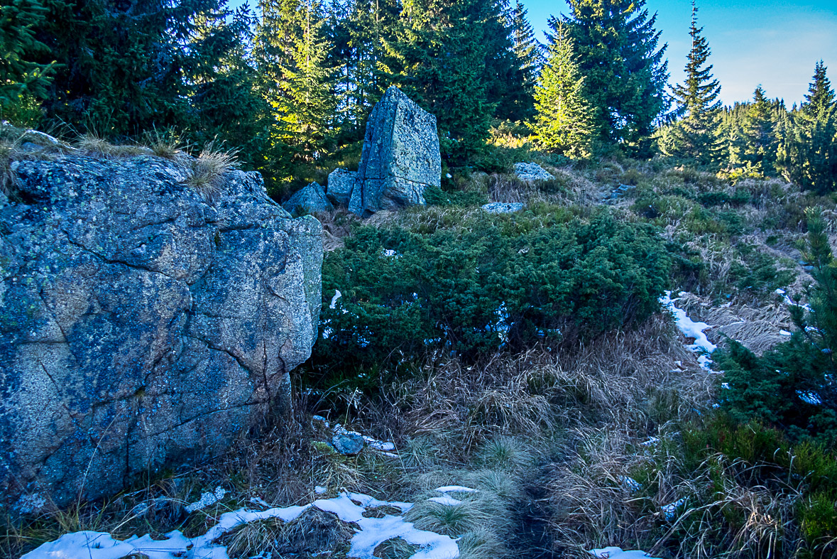 Ďumbier z Lúčok (Nízke Tatry)