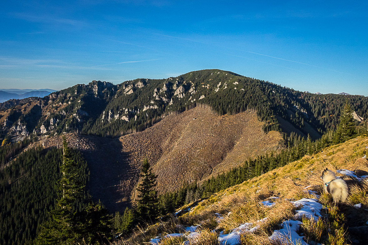 Ďumbier z Lúčok (Nízke Tatry)