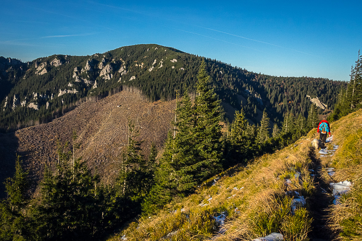 Ďumbier z Lúčok (Nízke Tatry)