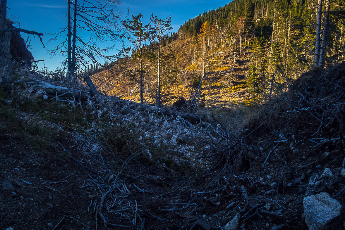 Ďumbier z Lúčok (Nízke Tatry)