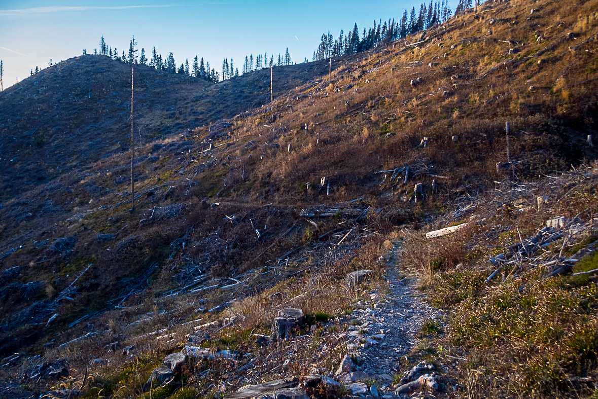 Ďumbier z Lúčok (Nízke Tatry)