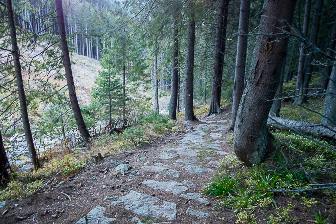 Ďumbier z Lúčok (Nízke Tatry)