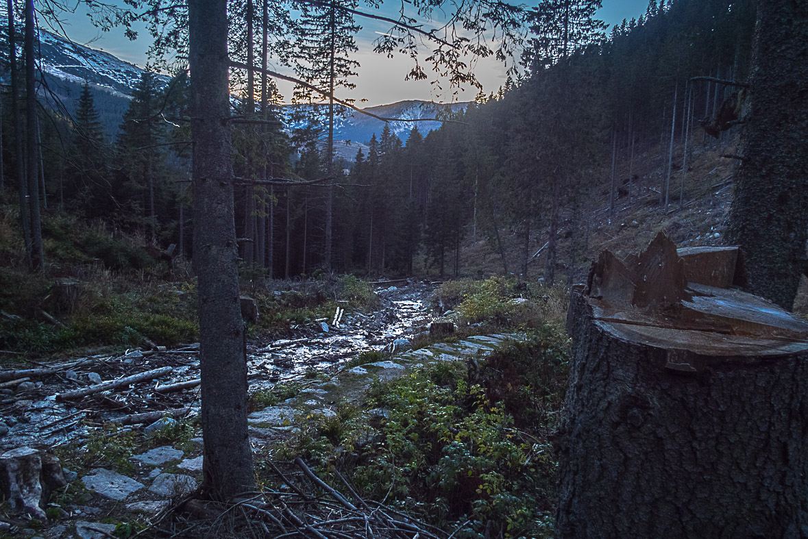 Ďumbier z Lúčok (Nízke Tatry)