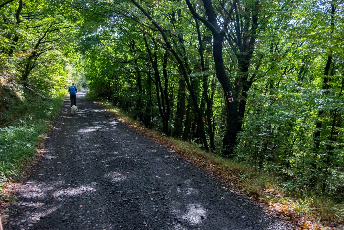 Füzéri vár a pamätník obetiam leteckej katastrofy pri obci Hejce (Zemplínske vrchy (HU))