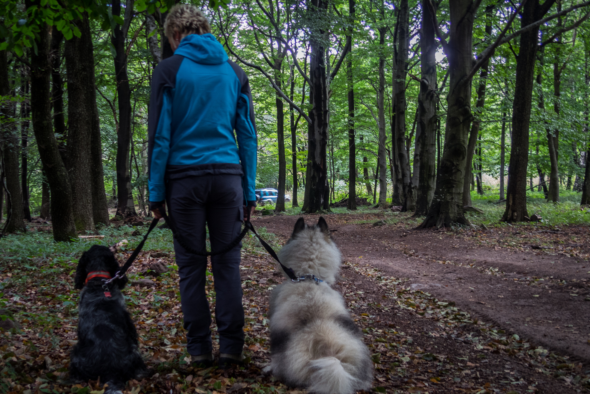 Füzéri vár a pamätník obetiam leteckej katastrofy pri obci Hejce (Zemplínske vrchy (HU))