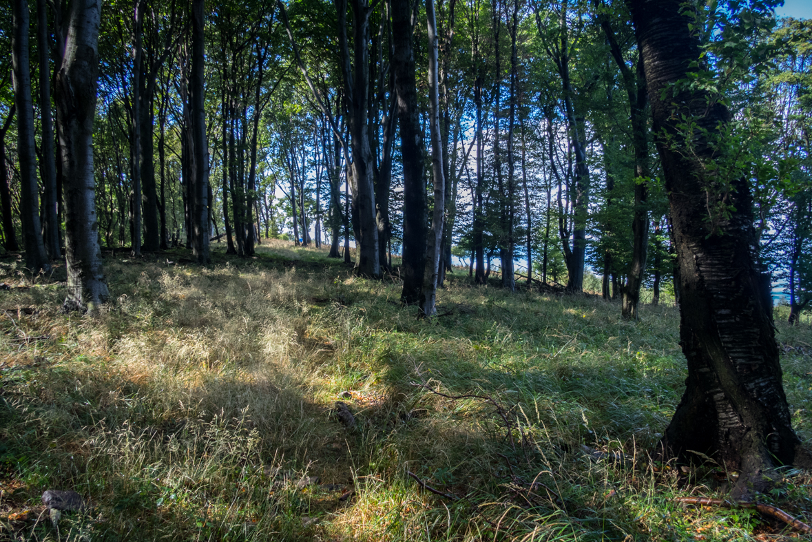 Füzéri vár a pamätník obetiam leteckej katastrofy pri obci Hejce (Zemplínske vrchy (HU))