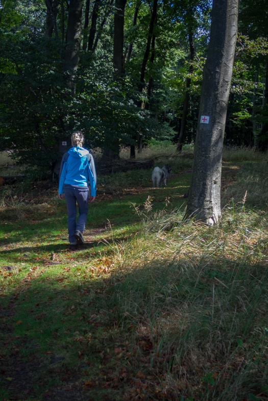 Füzéri vár a pamätník obetiam leteckej katastrofy pri obci Hejce (Zemplínske vrchy (HU))