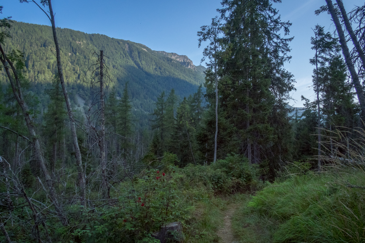 Hladké sedlo z Troch studničiek (Vysoké Tatry)