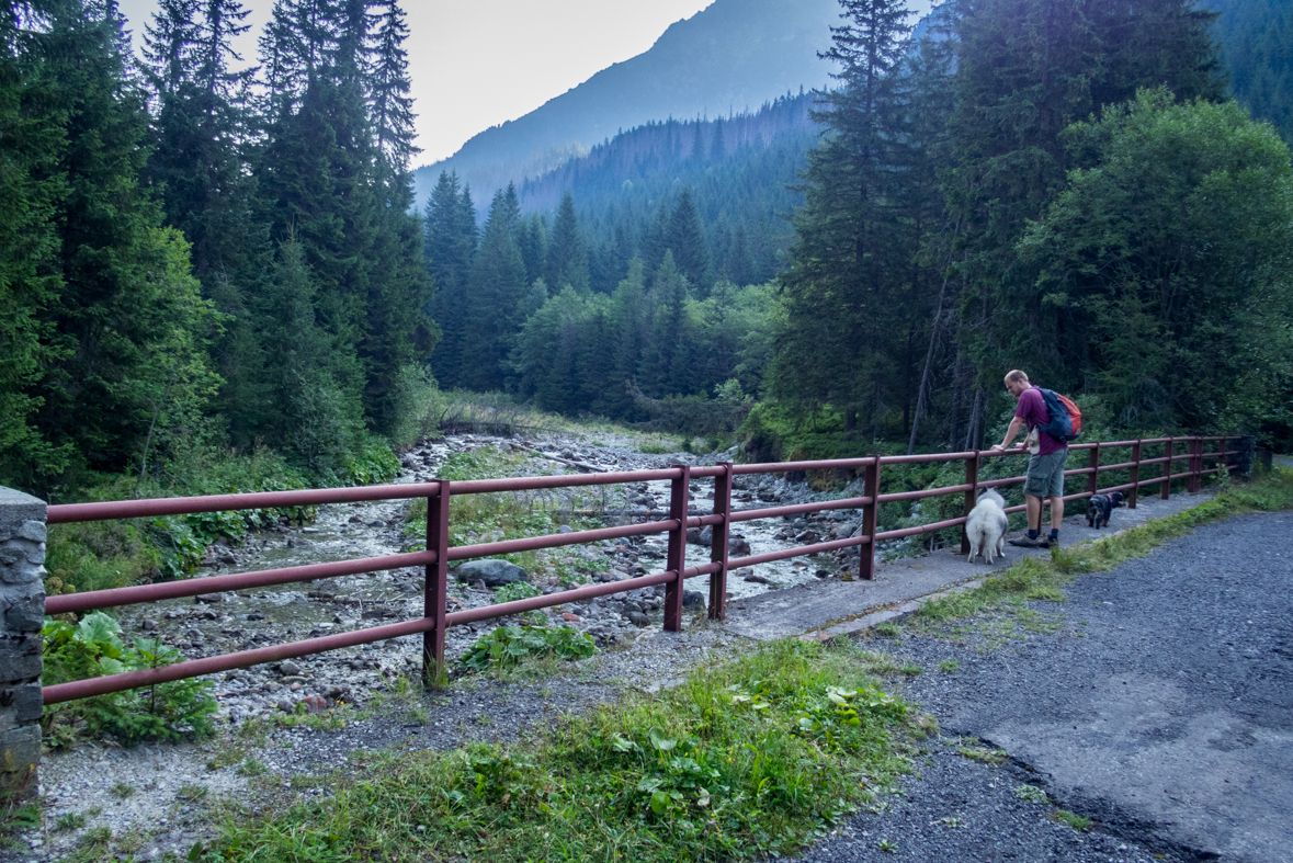 Hladké sedlo z Troch studničiek (Vysoké Tatry)