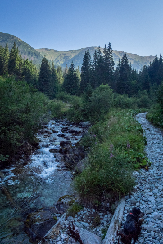 Hladké sedlo z Troch studničiek (Vysoké Tatry)