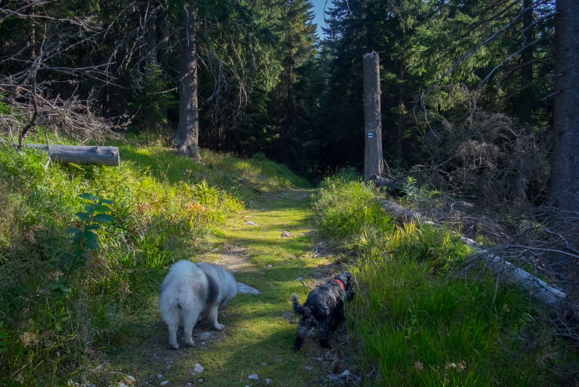 Hladké sedlo z Troch studničiek (Vysoké Tatry)