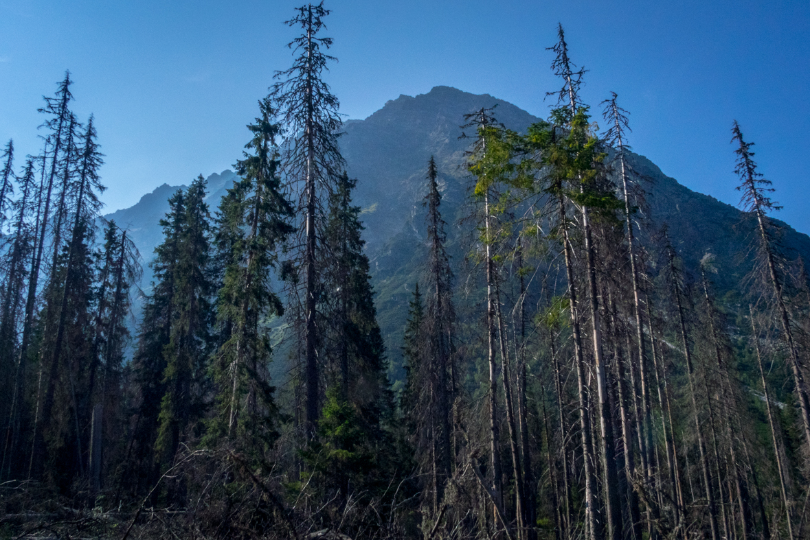 Hladké sedlo z Troch studničiek (Vysoké Tatry)