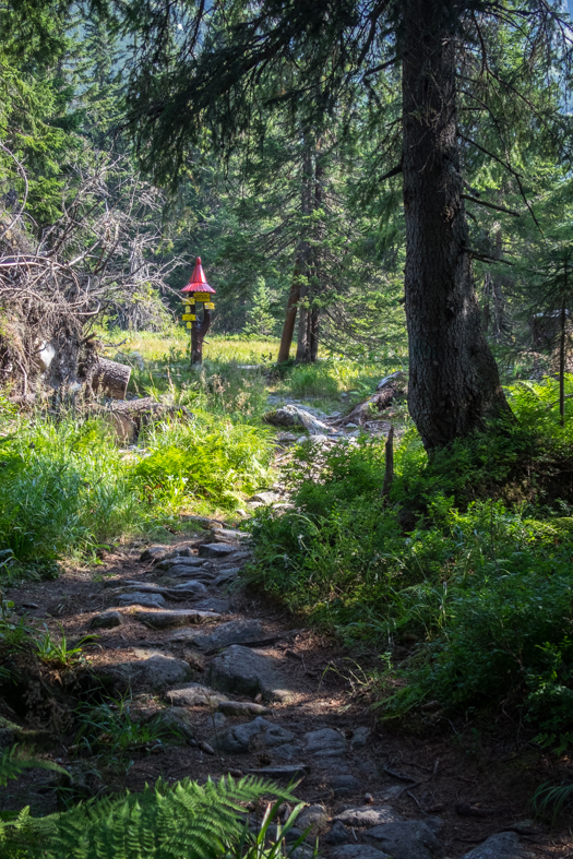 Hladké sedlo z Troch studničiek (Vysoké Tatry)