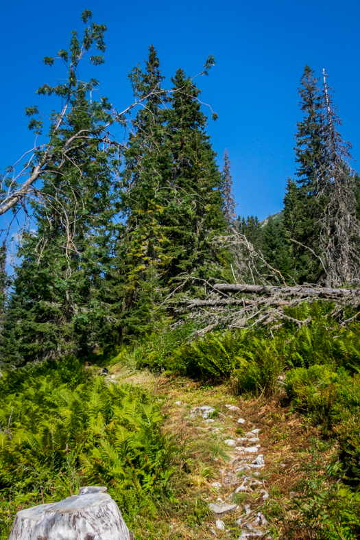 Hladké sedlo z Troch studničiek (Vysoké Tatry)