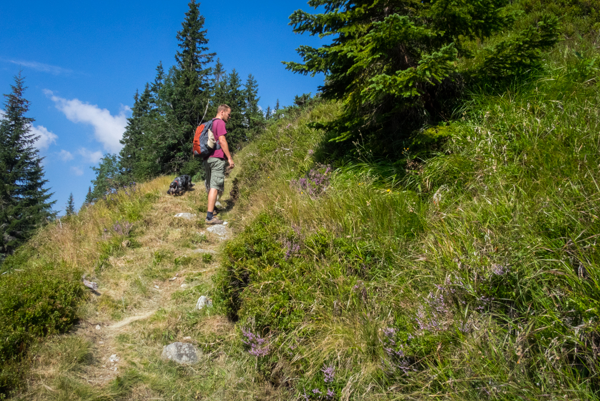 Hladké sedlo z Troch studničiek (Vysoké Tatry)