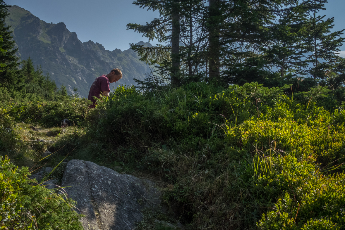 Hladké sedlo z Troch studničiek (Vysoké Tatry)