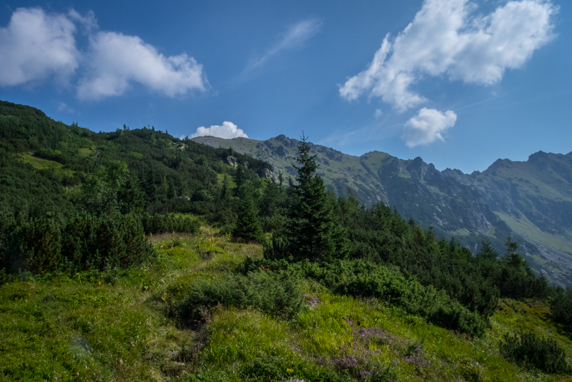 Hladké sedlo z Troch studničiek (Vysoké Tatry)