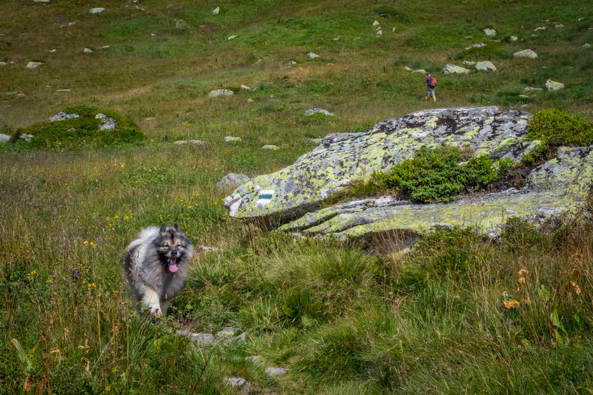 Hladké sedlo z Troch studničiek (Vysoké Tatry)