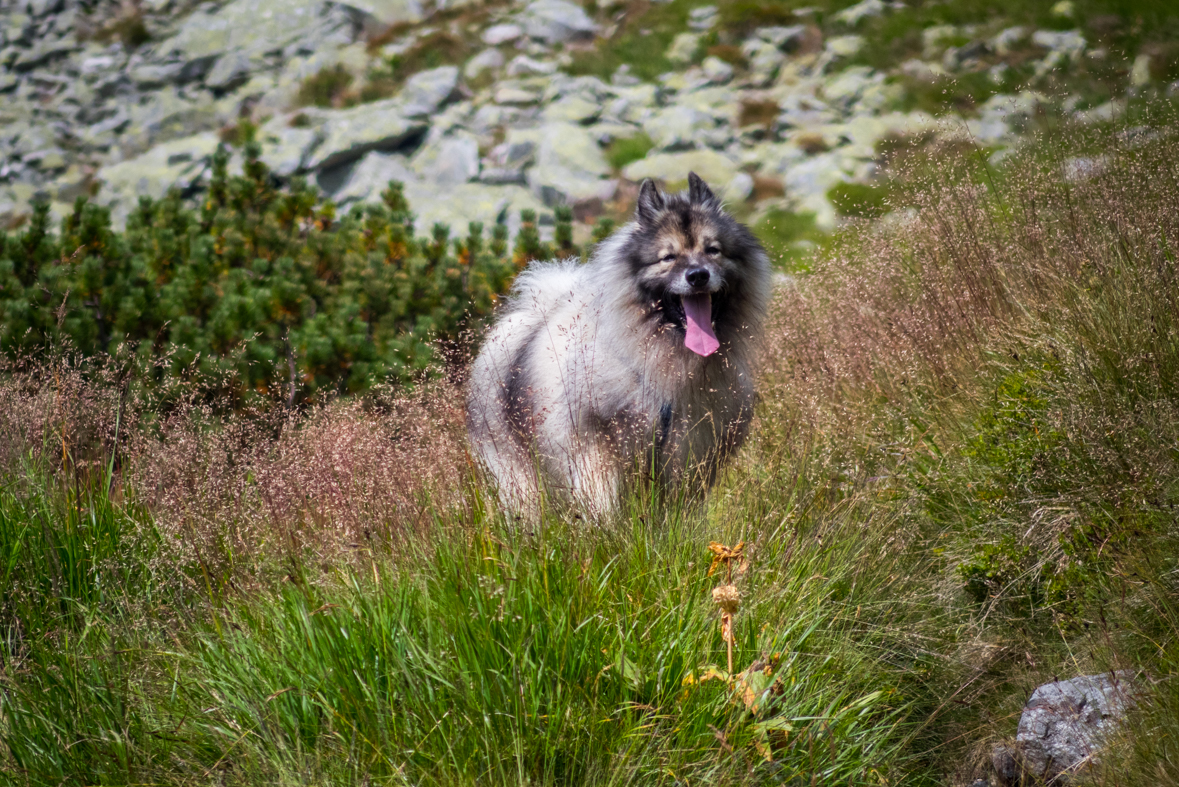 Hladké sedlo z Troch studničiek (Vysoké Tatry)