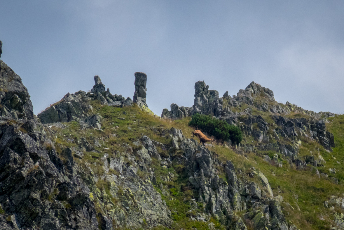 Hladké sedlo z Troch studničiek (Vysoké Tatry)