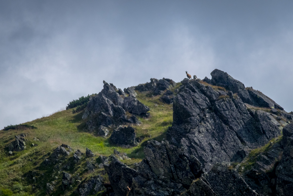 Hladké sedlo z Troch studničiek (Vysoké Tatry)