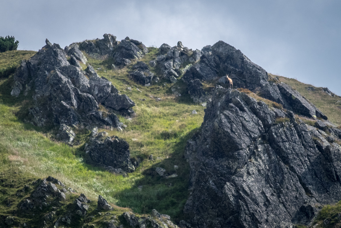 Hladké sedlo z Troch studničiek (Vysoké Tatry)