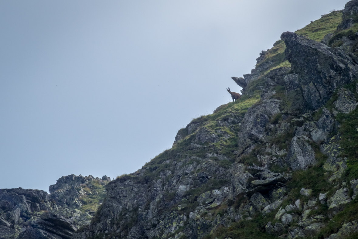 Hladké sedlo z Troch studničiek (Vysoké Tatry)