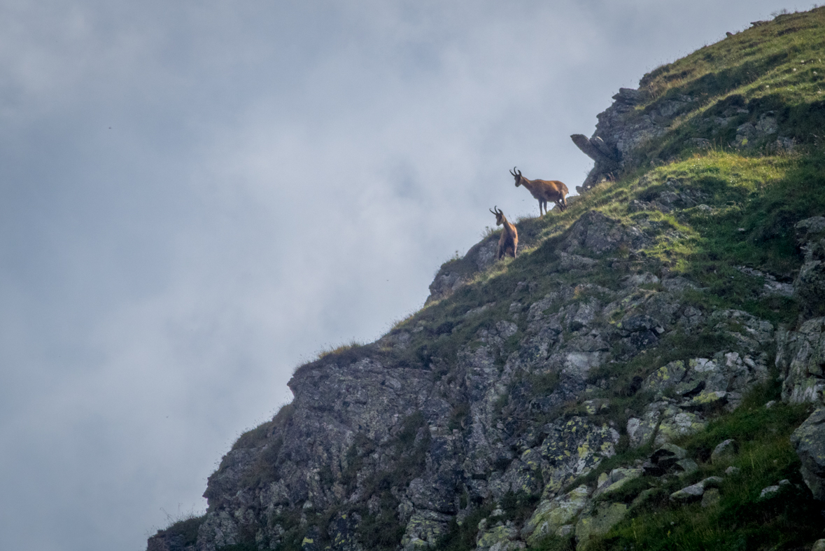 Hladké sedlo z Troch studničiek (Vysoké Tatry)