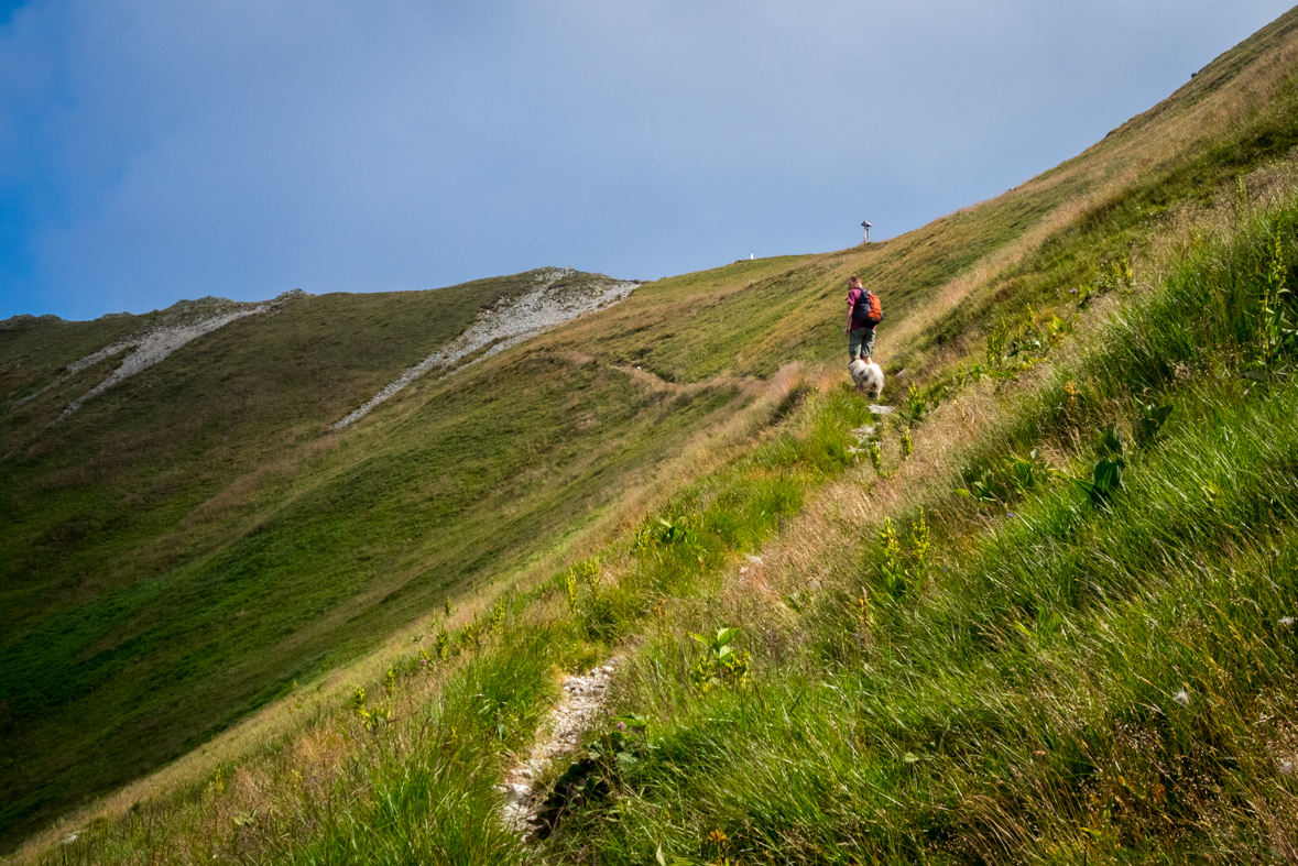 Hladké sedlo z Troch studničiek (Vysoké Tatry)