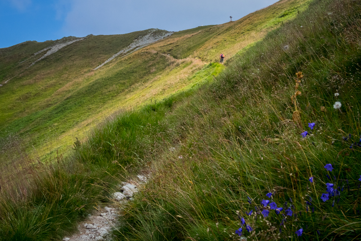 Hladké sedlo z Troch studničiek (Vysoké Tatry)