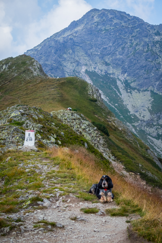 Hladké sedlo z Troch studničiek (Vysoké Tatry)