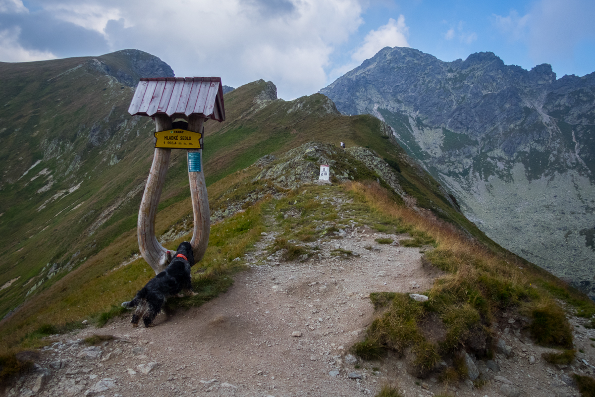 Hladké sedlo z Troch studničiek (Vysoké Tatry)