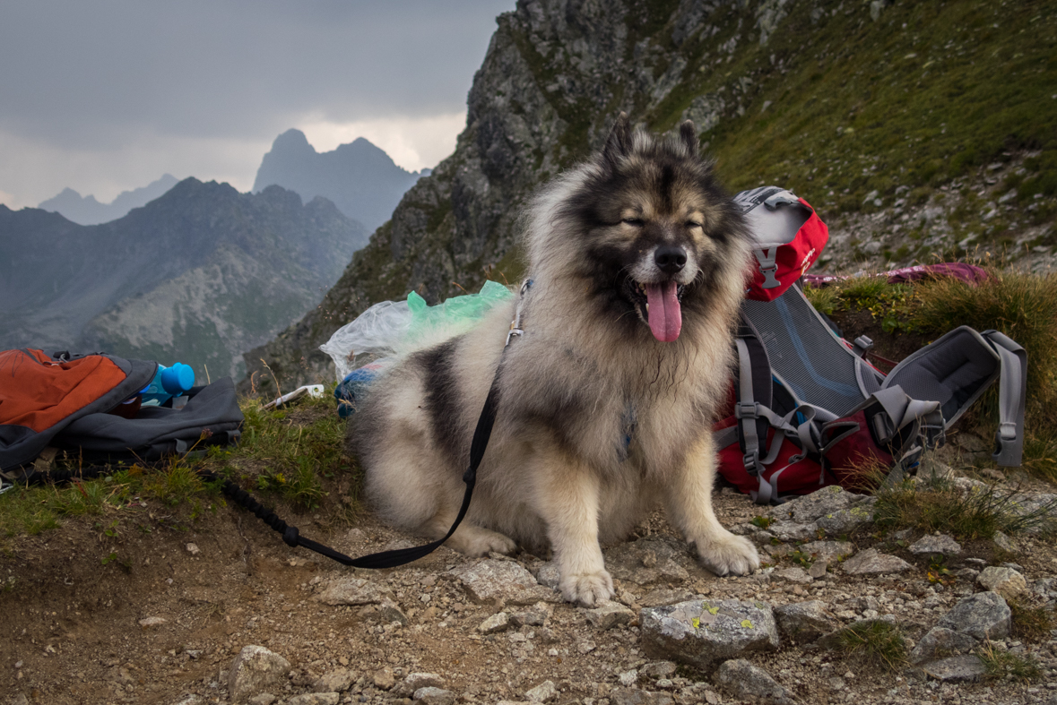 Hladké sedlo z Troch studničiek (Vysoké Tatry)