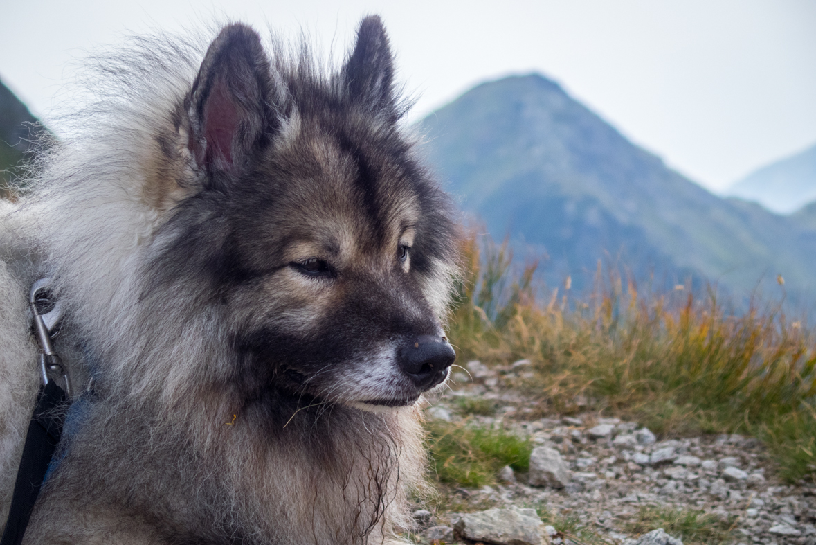 Hladké sedlo z Troch studničiek (Vysoké Tatry)