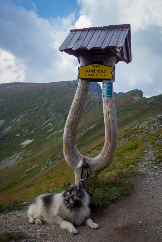 Hladké sedlo z Troch studničiek (Vysoké Tatry)