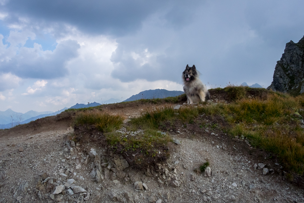 Hladké sedlo z Troch studničiek (Vysoké Tatry)