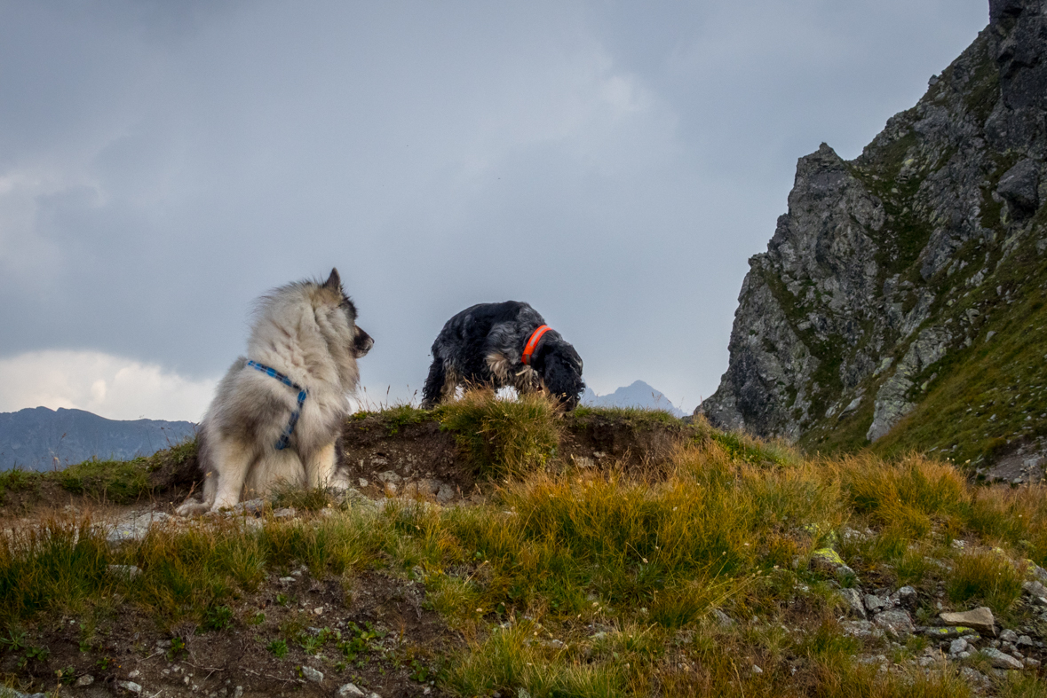 Hladké sedlo z Troch studničiek (Vysoké Tatry)