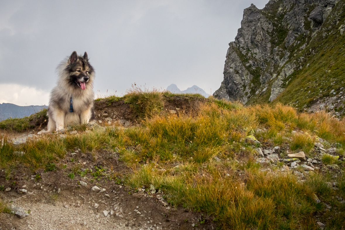 Hladké sedlo z Troch studničiek (Vysoké Tatry)