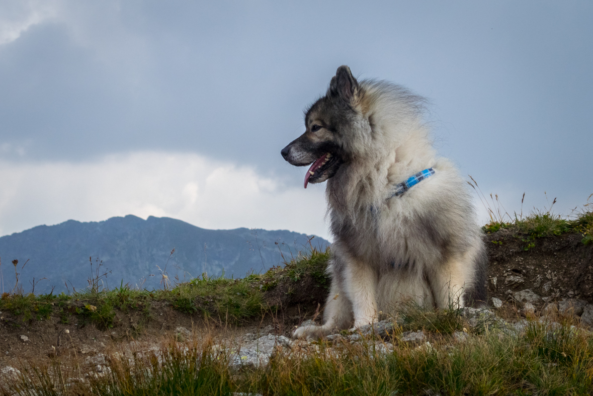 Hladké sedlo z Troch studničiek (Vysoké Tatry)