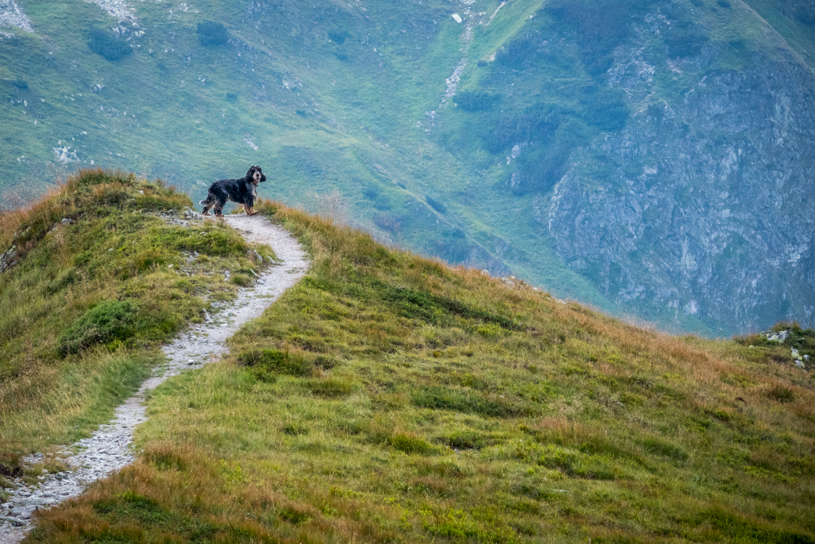 Hladké sedlo z Troch studničiek (Vysoké Tatry)