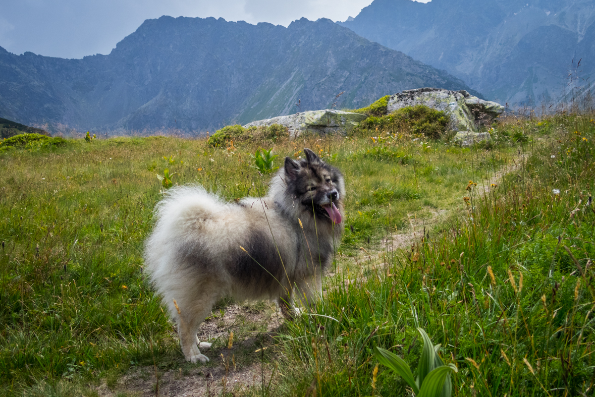 Hladké sedlo z Troch studničiek (Vysoké Tatry)