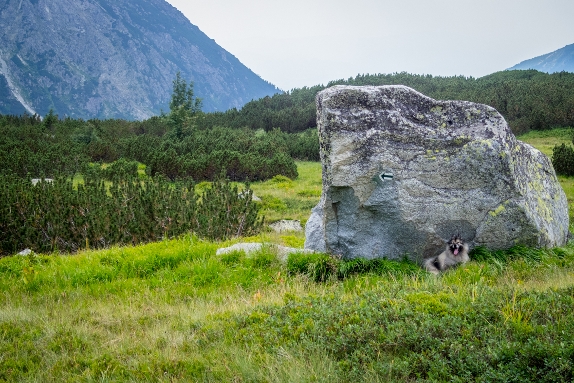 Hladké sedlo z Troch studničiek (Vysoké Tatry)