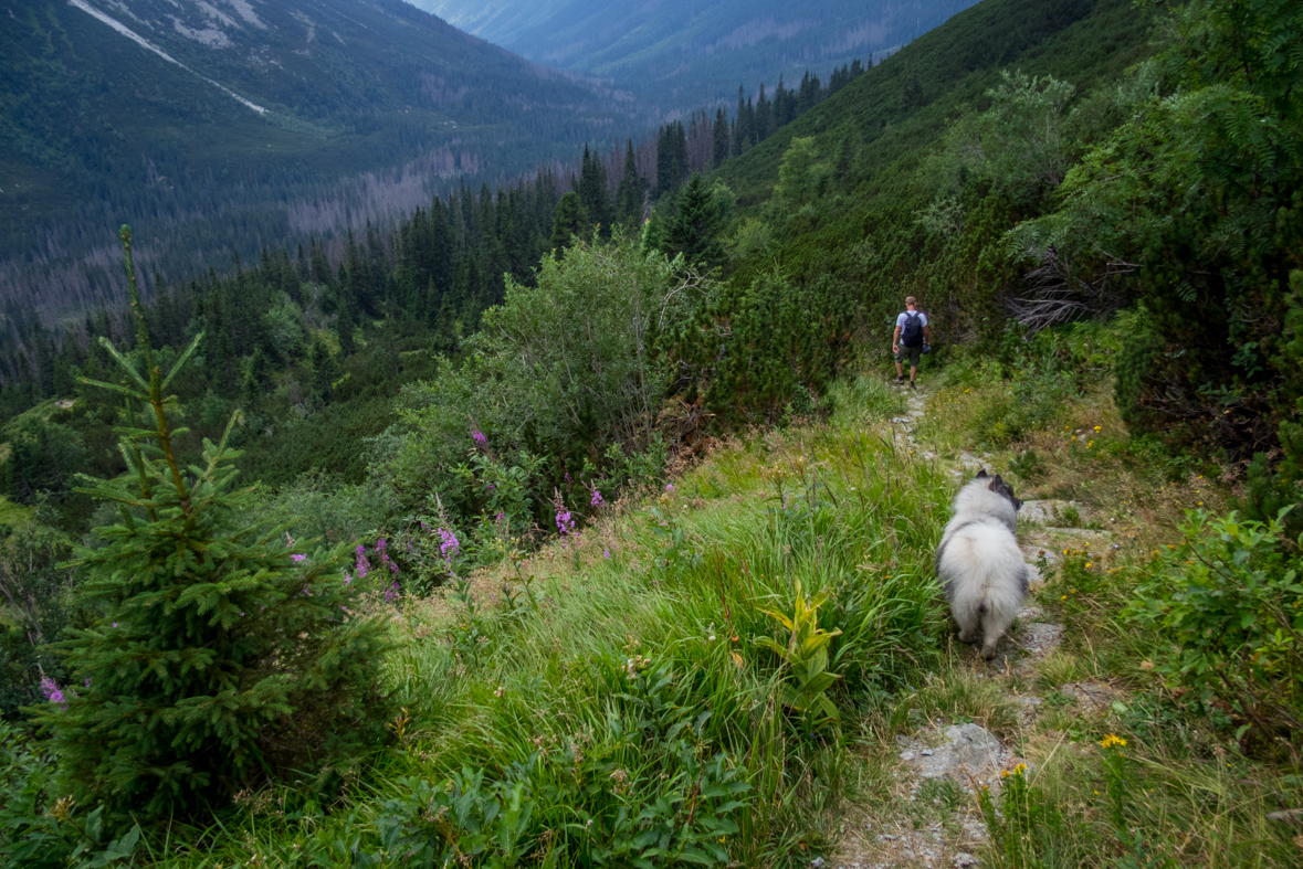 Hladké sedlo z Troch studničiek (Vysoké Tatry)