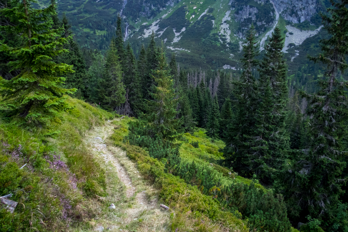 Hladké sedlo z Troch studničiek (Vysoké Tatry)