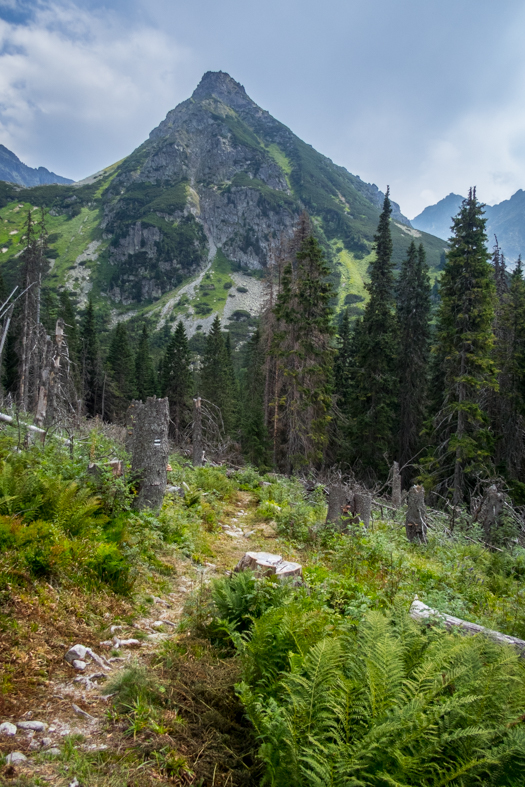 Hladké sedlo z Troch studničiek (Vysoké Tatry)