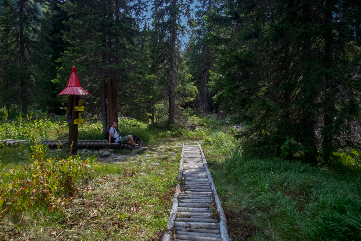 Hladké sedlo z Troch studničiek (Vysoké Tatry)